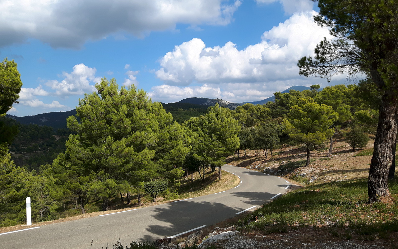 kron_cycling_radsportreisen_berge_provence_quer2.jpg